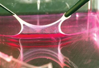 視頻_中國塑料機(jī)械網(wǎng)